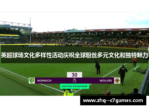 英超球场文化多样性活动庆祝全球粉丝多元文化和独特魅力
